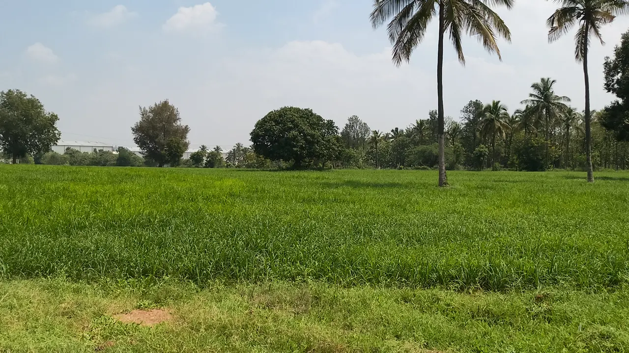348,480 sqft warehouse in Bangalore, Karnataka, photo 1 of 8