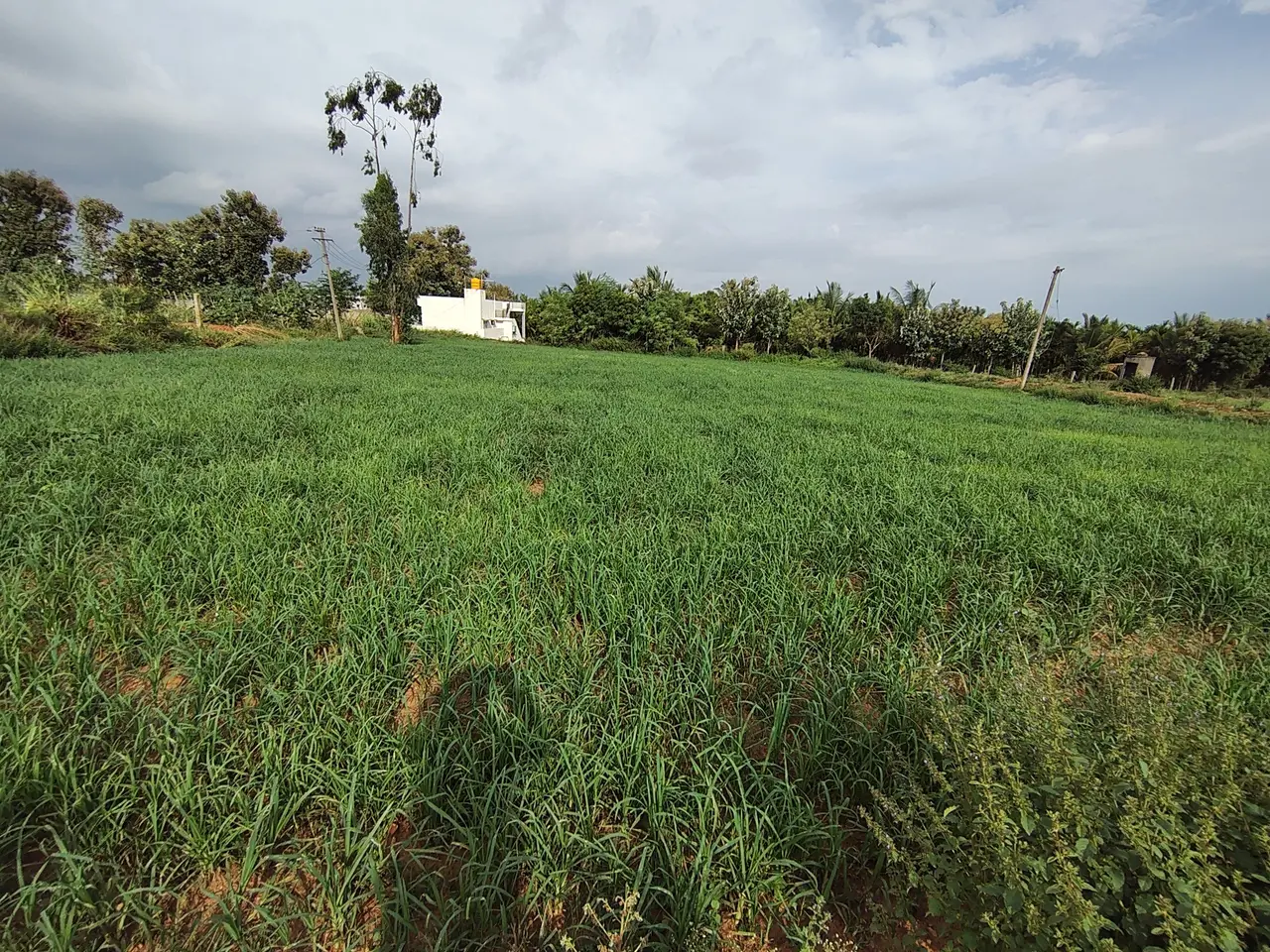 1,74,240 sqft warehouse in Bengaluru, Karnataka